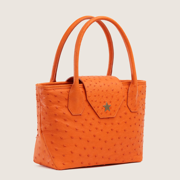 LUCILLE MINI TOTE