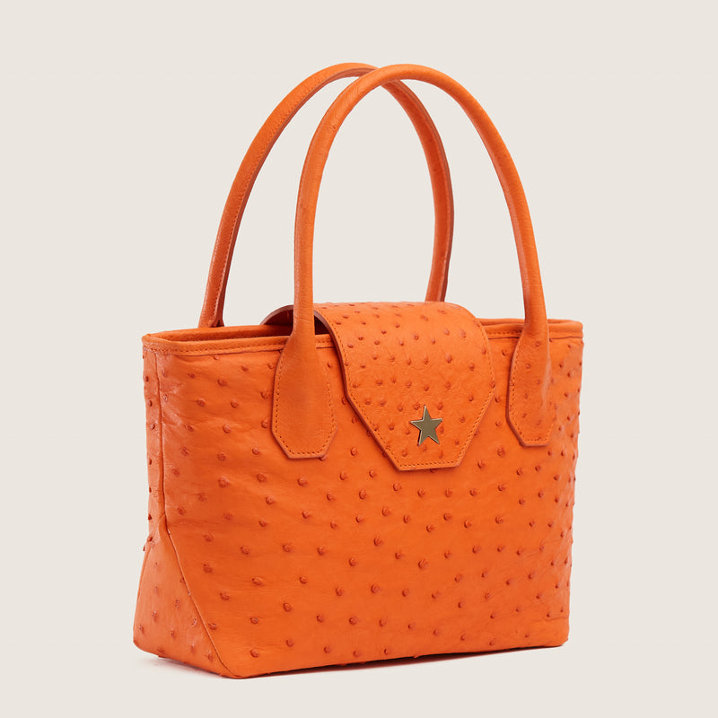 LUCILLE MINI TOTE