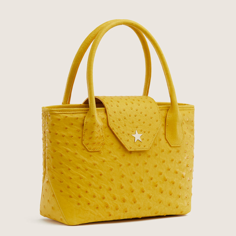 LUCILLE MINI TOTE